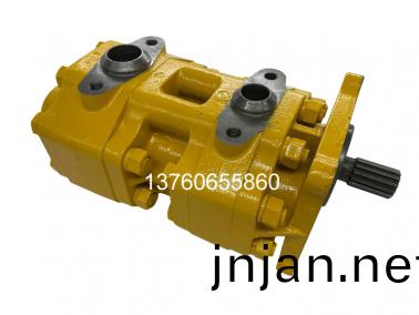 SD16雙(shuang)聯泵